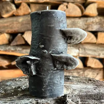 Birch Pillar Candle in Dark Chocolate