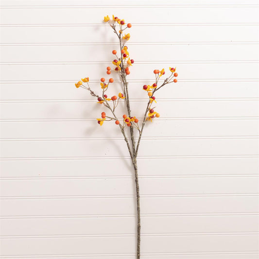 Bittersweet Branch