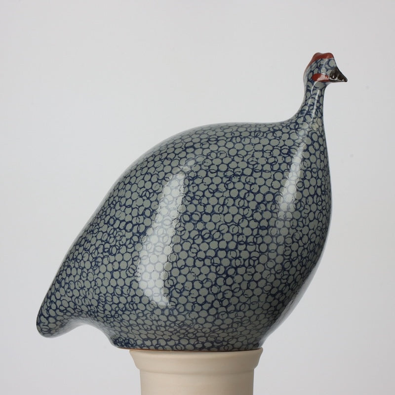 Guinea Fowl Blue Spotted Cobalt