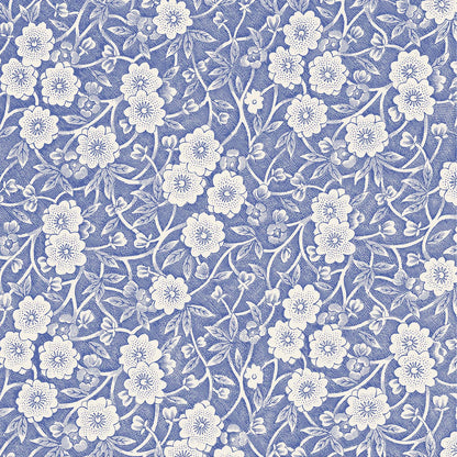Blue Calico Cocktail Napkins - Hester & Cook