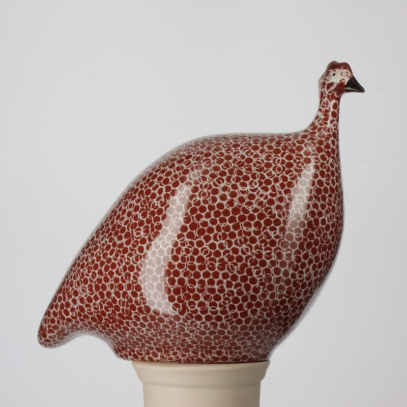 Guinea Fowl Bordeaux Spotted White