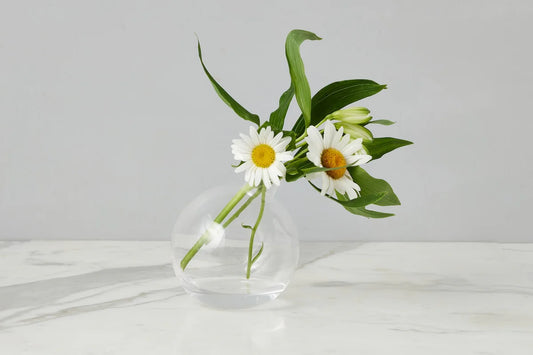 Glass Sphere Clear Bud Vase