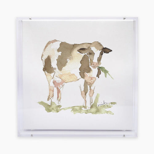 Cow Acrylic Shadow Box Print - Anne Neilson