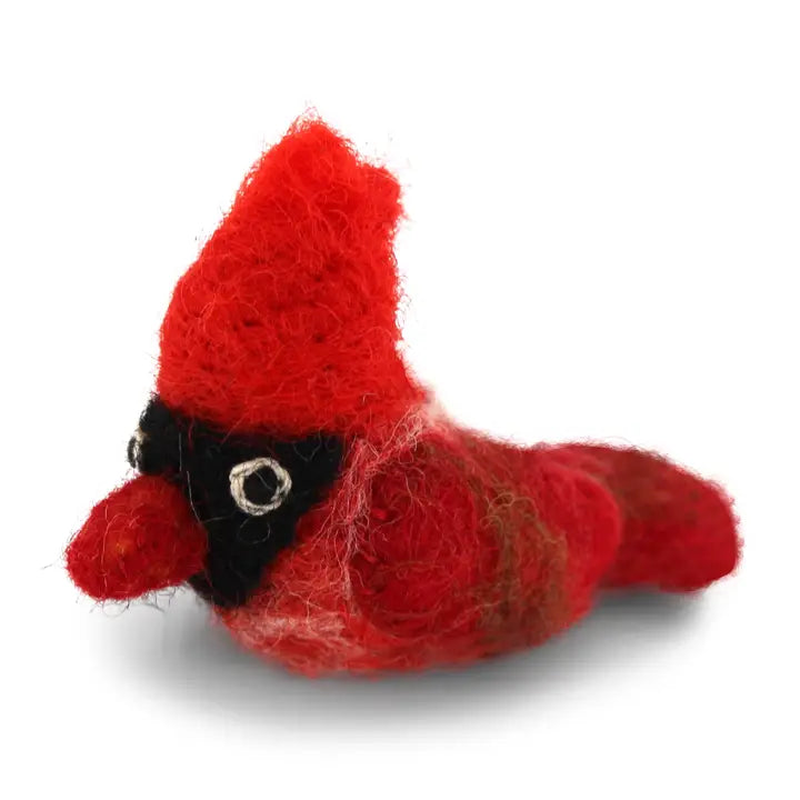 Cardinal Bird