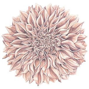 Die-Cut Dahlia Placemats, Set of 12