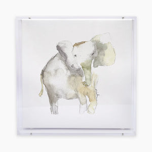 Elephant Acrylic Shadow Box Print - Anne Neilson