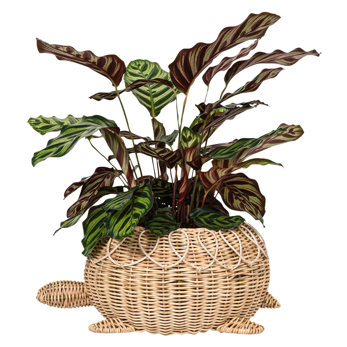 Juliska Provence Rattan Whitewash Turtle