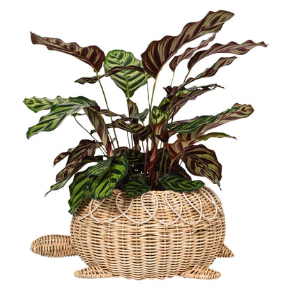 Juliska Provence Rattan Whitewash Turtle