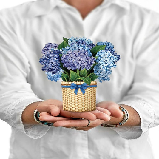 FreshCut Paper Pop Up Mini Nantucket Hydrangea