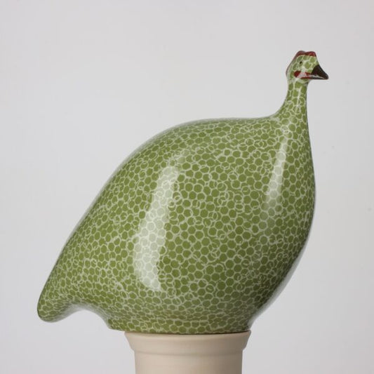 Guinea Fowl Green Splashes Spotted White