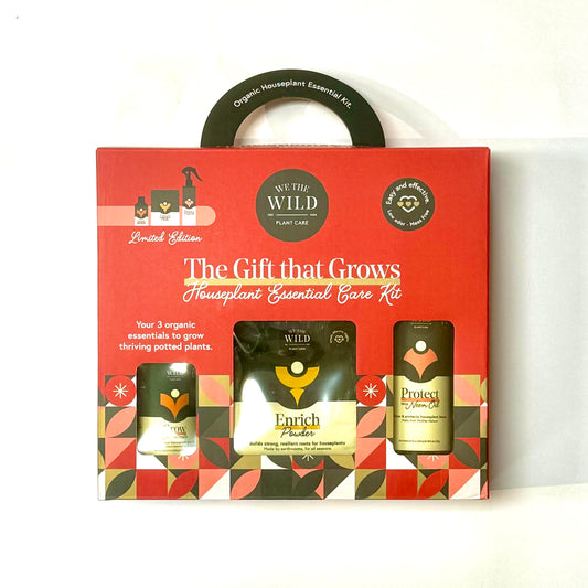 Holiday Plant Care Taster Kit