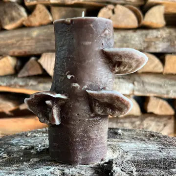 Birch Pillar Candle in Honeysuckle Brown