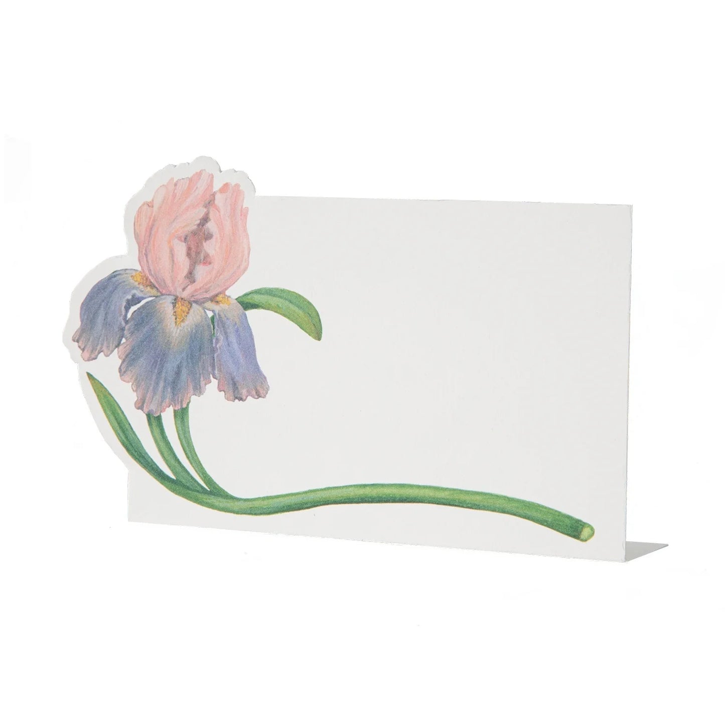 Iris Place Card - Hester & Cook