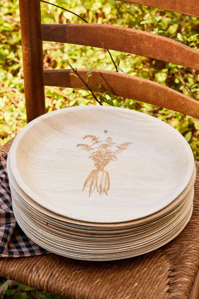 Farm Carrots Compostable Plates