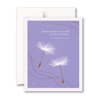"Nobody comes into your life by..." Thank You Card
