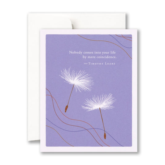 "Nobody comes into your life by..." Thank You Card