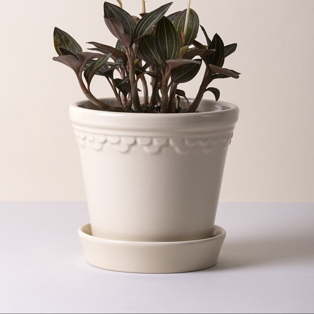 Berg's Potter GLAZED Københavner Pot