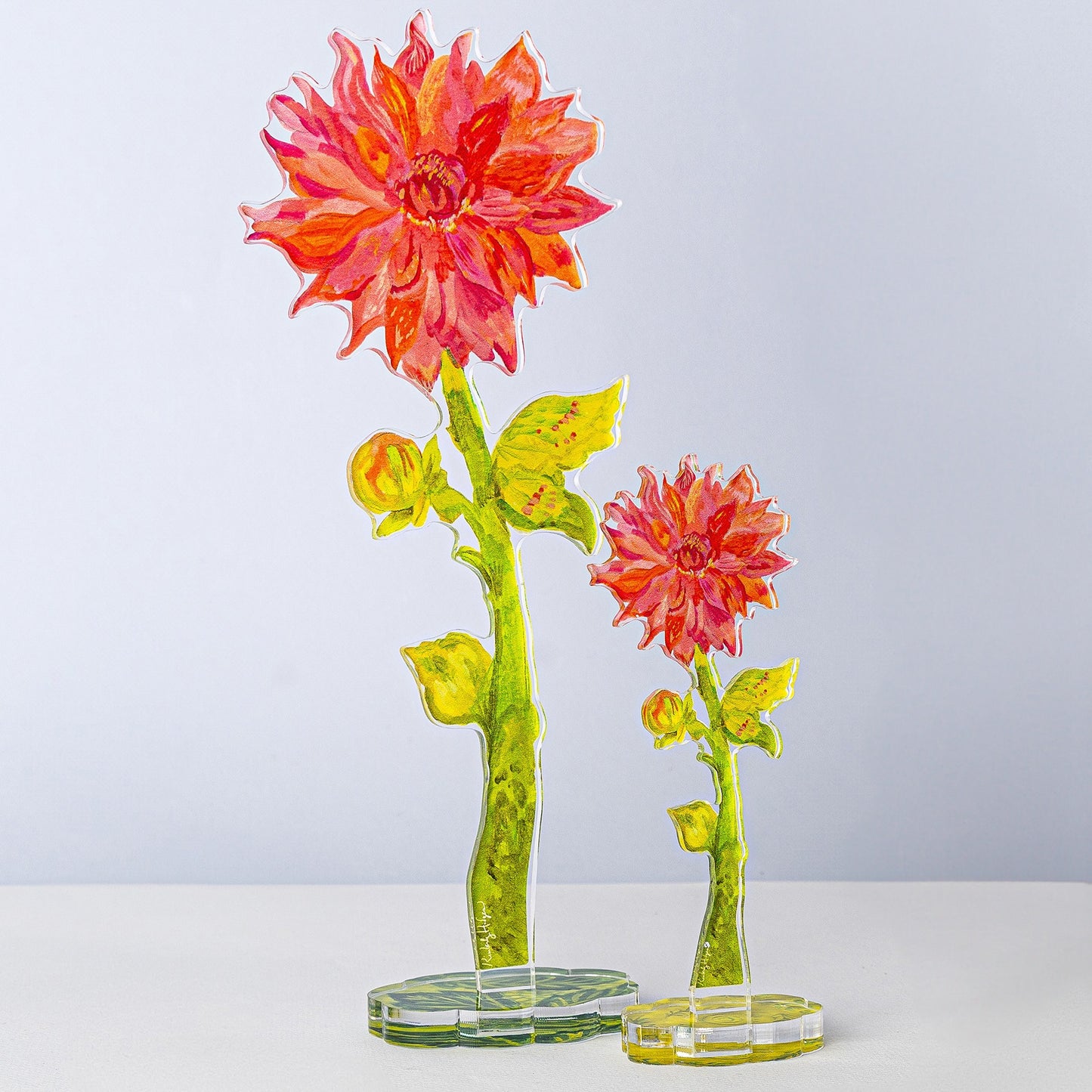 Sonic Bloom Dahlia Large Acrylic Flower