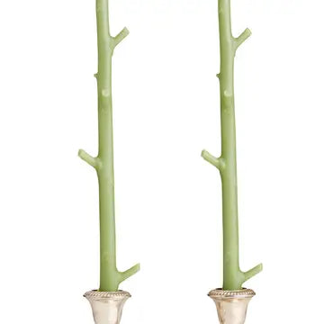 Maple Taper Pair in Sour Apple