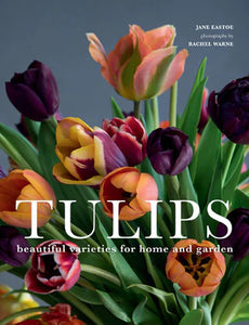 "Tulips" Book
