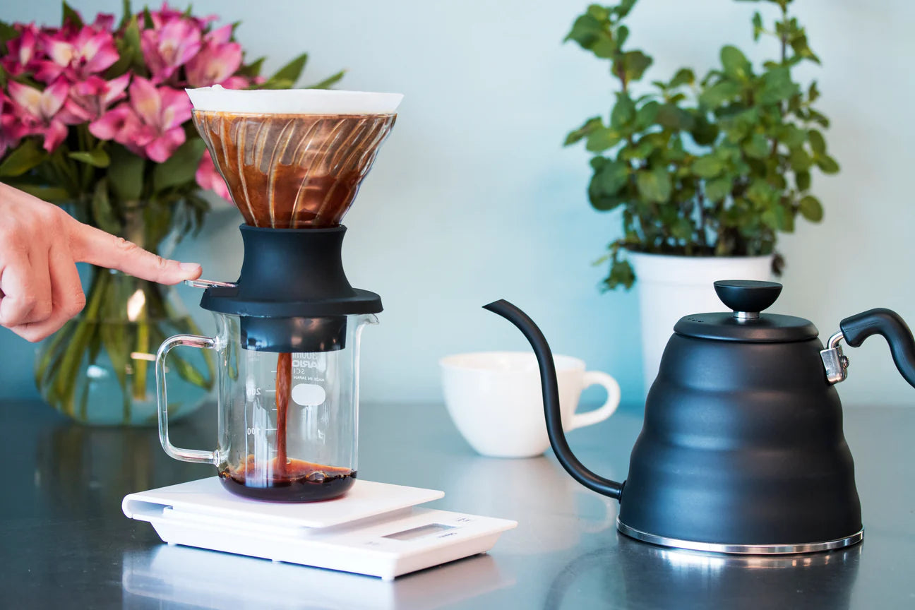 Hario V60 Immersion Dripper Switch