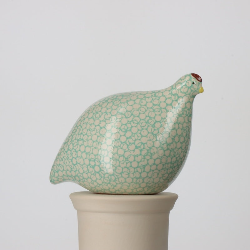 Quail White Spotted Turquoise