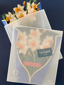 Cut Paper Daffodils Pop Up Greeting Card