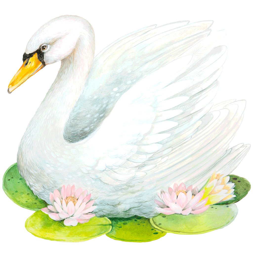Die-Cut Fabulous Swan Placemat - 12 Sheets