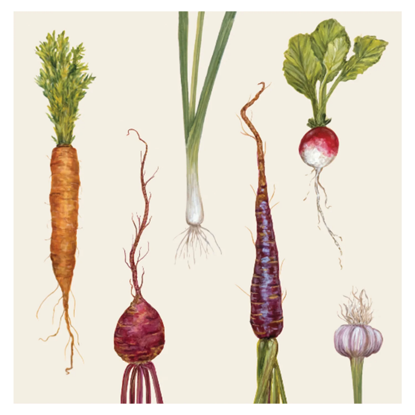 Hester & Cook Farmer's Market Cocktail Napkin