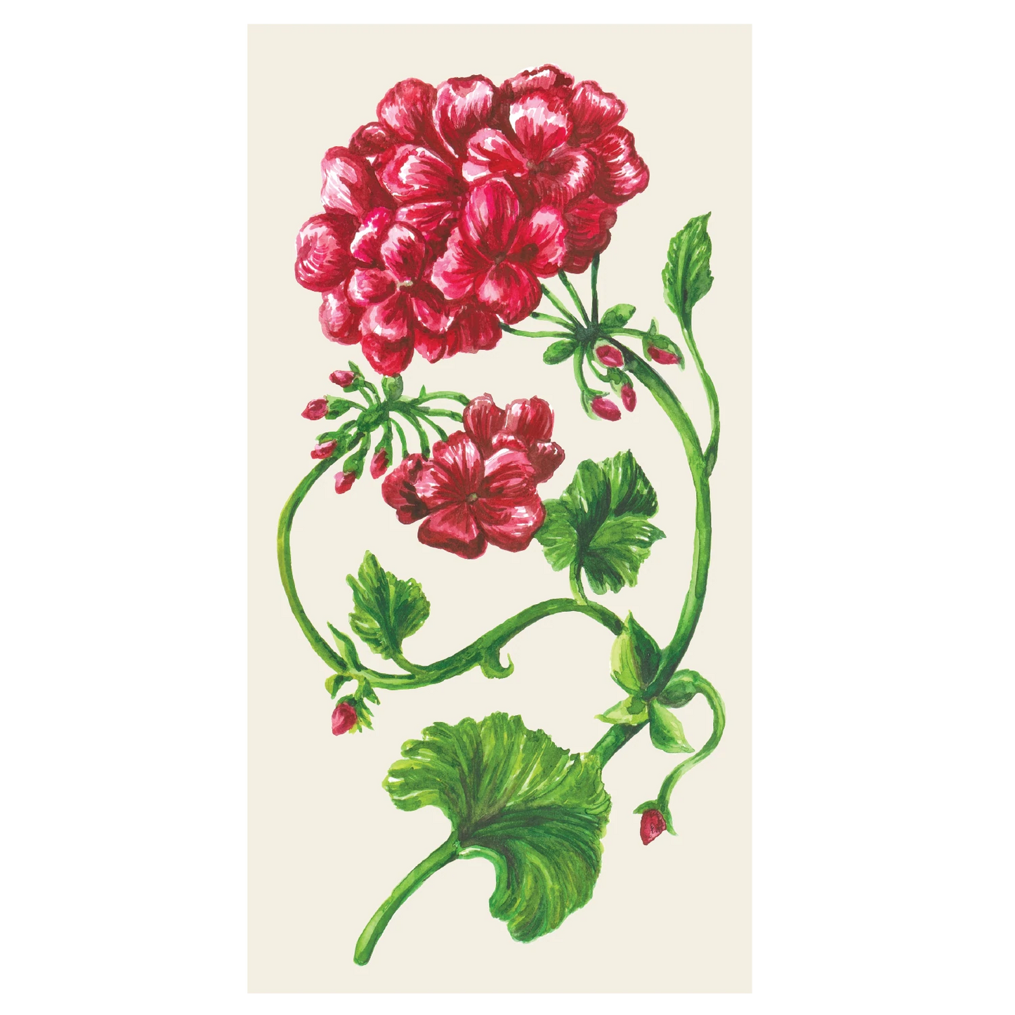 Geranium Guest Napkin - Pack of 16