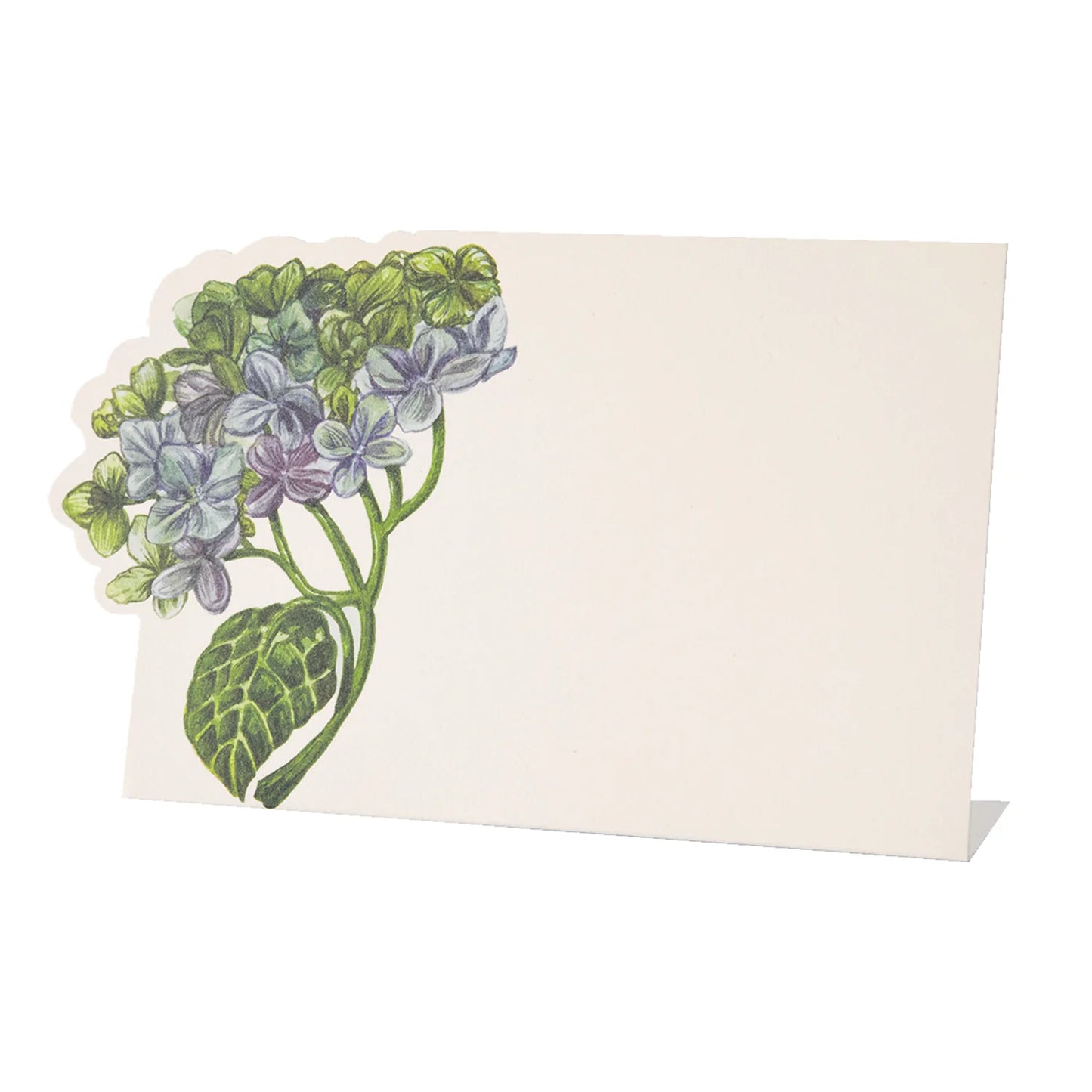 Hester and Cook Hydrangea Place Card