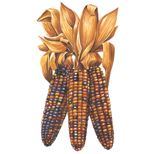 Hester & Cook Maize Table Accent