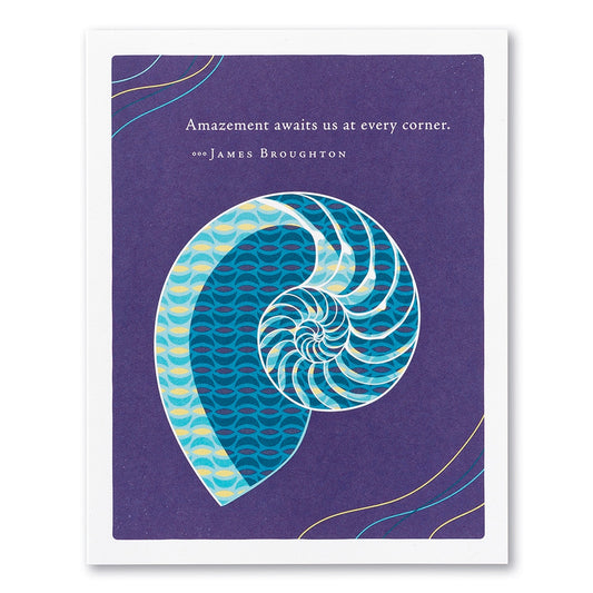 “AMAZEMENT AWAITS US AT EVERY CORNER.” —JAMES BROUGHTON
