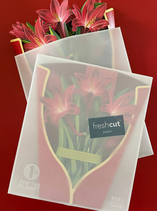 Fresh Cut Paper Red Amaryllis Pop Up Greeting Card