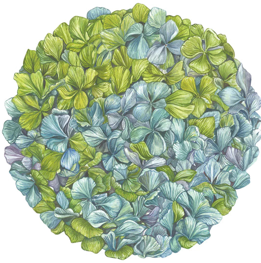 Hester and Cook Die Cut Hydrangea Placemat