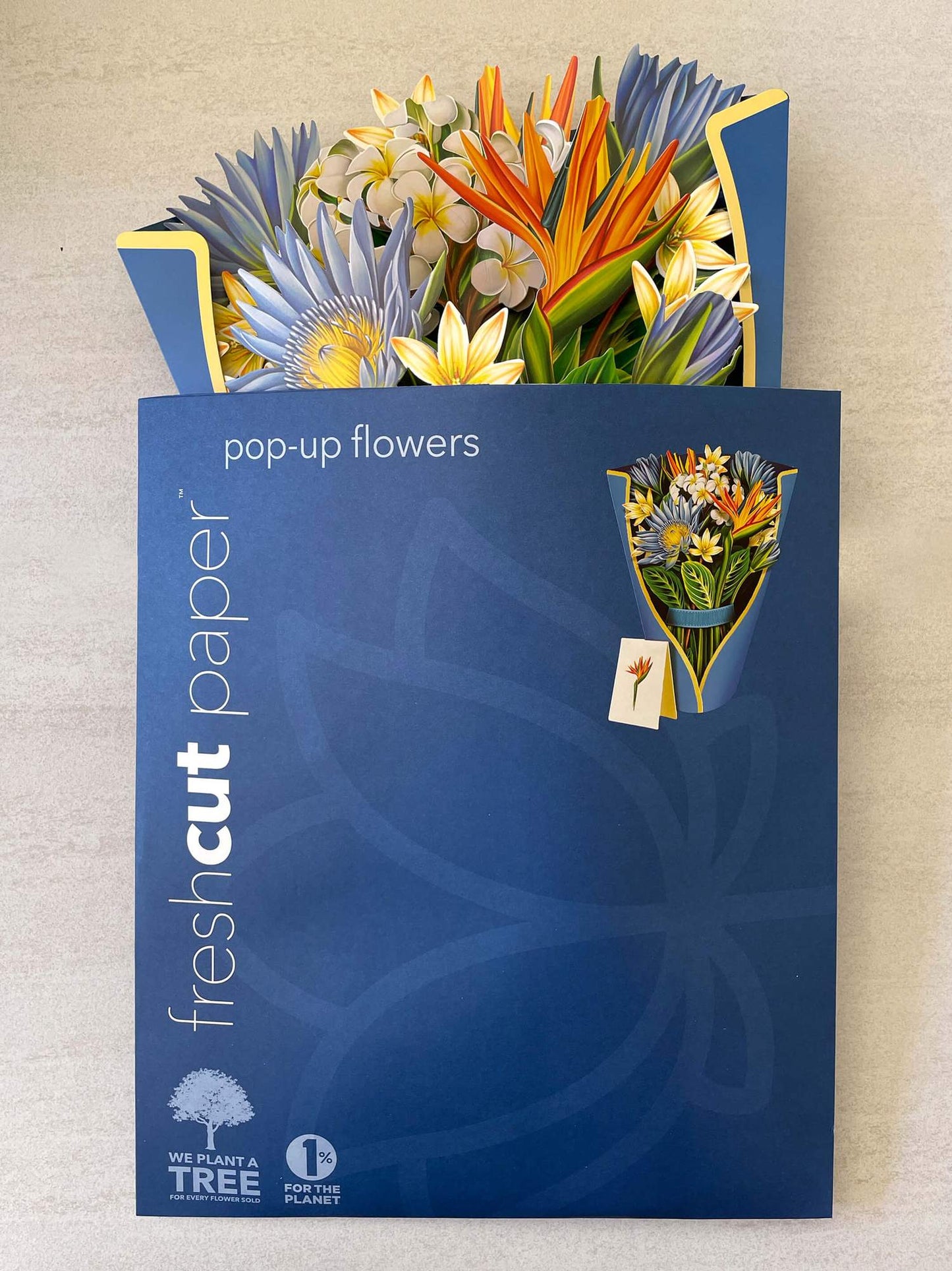 Fresh Cut Paper Tropical Bloom Pop Up Greeting Card