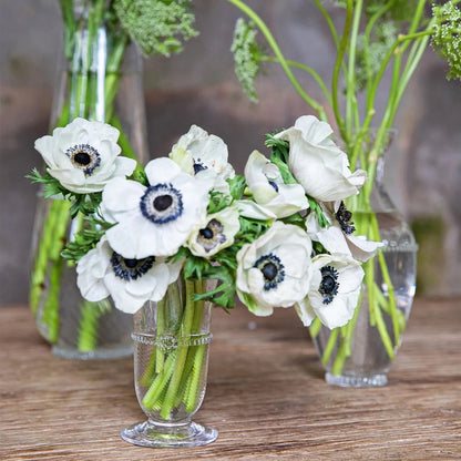 Juliska Graham Posey Vase