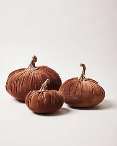 Farmhouse Pottery Harvest Pumpkin Walnut Velvet Small