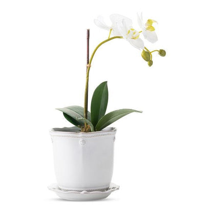 Berry & Thread Whitewash  5.25" Planter & Saucer - Juliska
